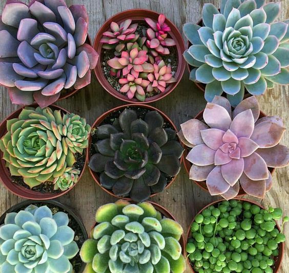 cb2252a9372428a1d89b8cd9fee432e3