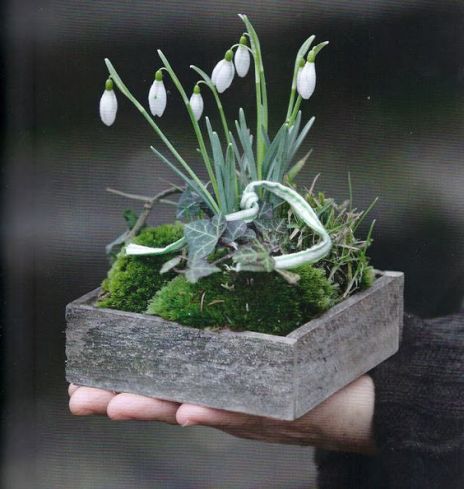 d149223fed33a098522e2f6c97f6a84b