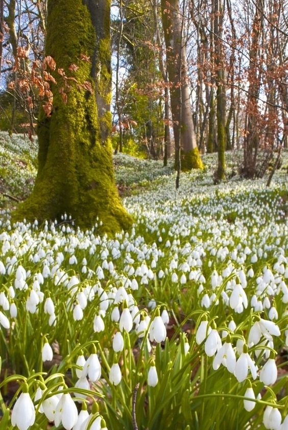 e6cf50275f0e3e1428e7755c8a4acb9f