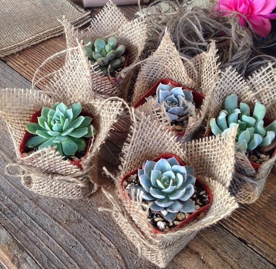 e9ca8a48270943ccba22f7d3a9e59368