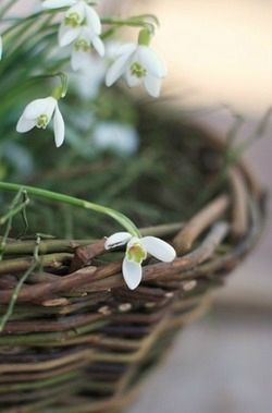 eb660bb284e6e50bd0927e61612e8908