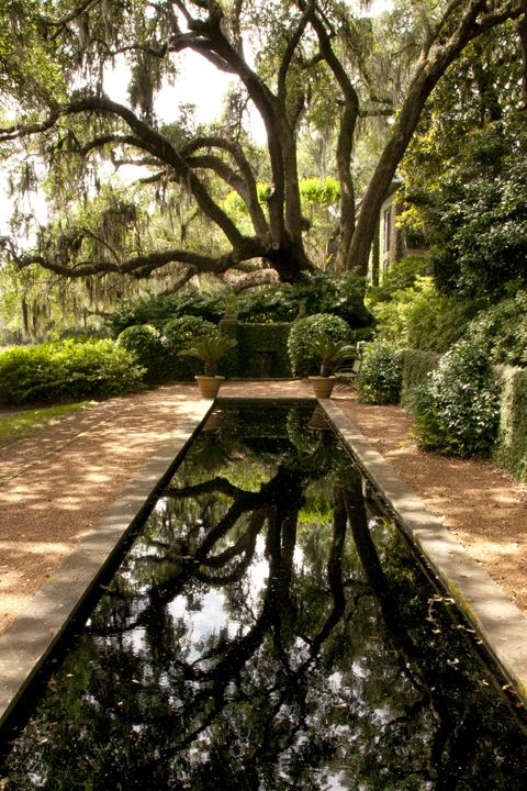 ba1e51a49e7c5d9518c215c108e56445