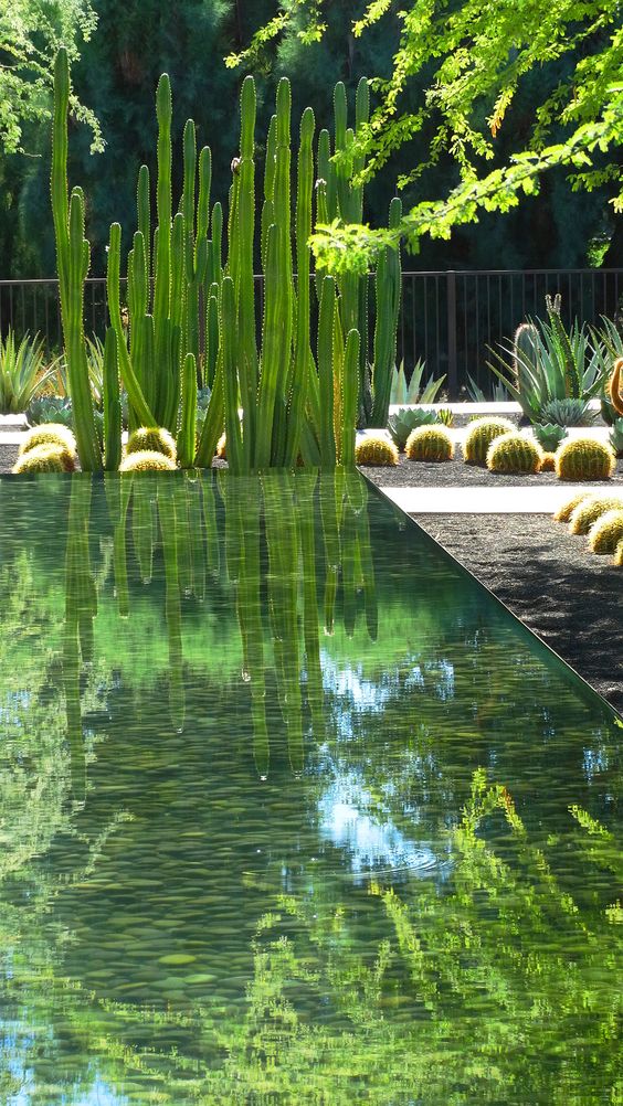 d3ee75744c50c8d7aeb4b1ac6d50945a