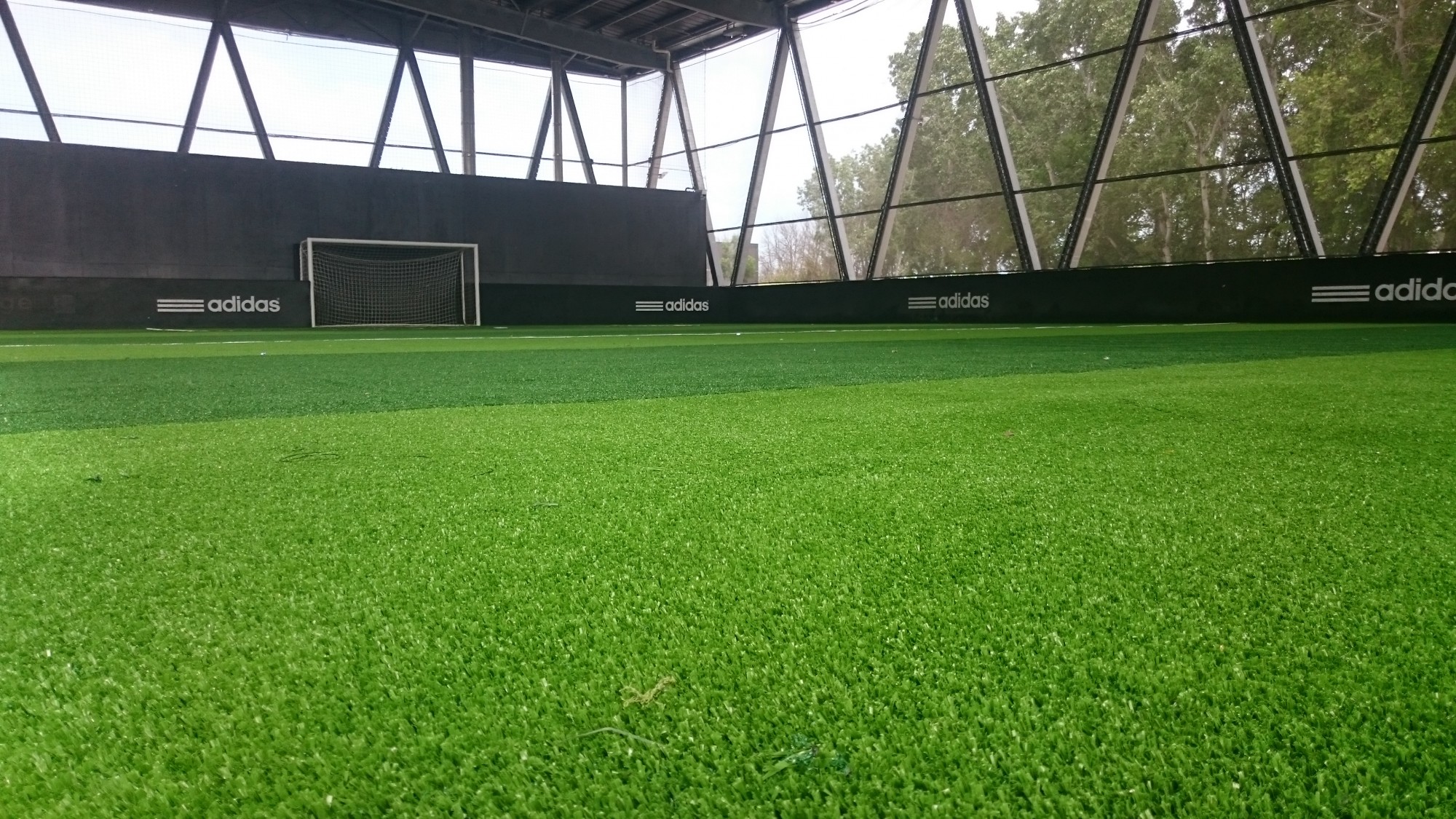 Foot-indoor5788da3975ccd