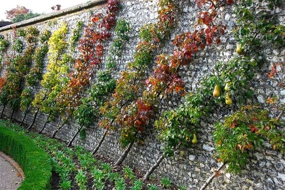 279bf559d9a485b35acea30415b85edb