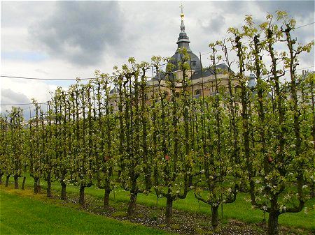 882dd02045699cdc42a1b7b1dfeb0c86