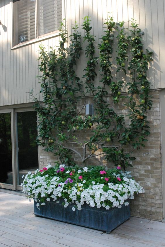 9560f0ce1e3348774886d850c32907a1