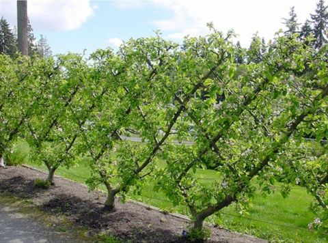 9ddb1e31a90d30619fa8b61df67e270f