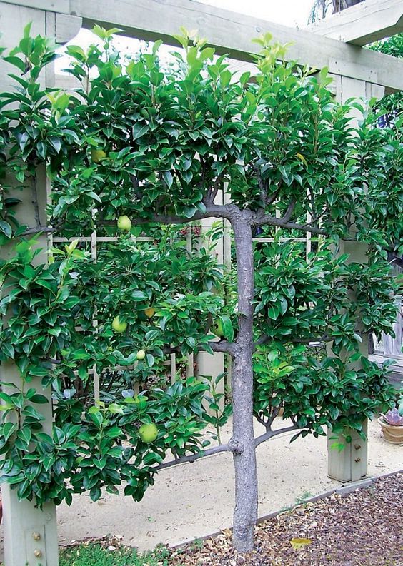 a9809fadd17f463d47314f75ce680f56