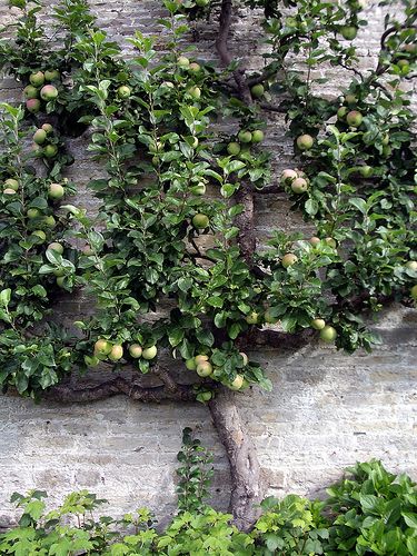 c28b93a527ec9efc59d63b5be5d31560