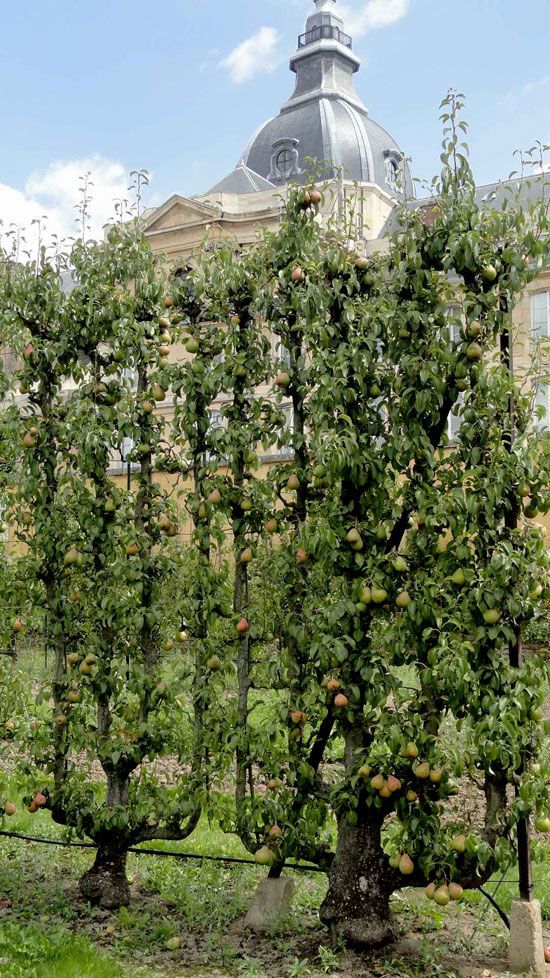 e9c5cf61e287b77b0498643b4122895d